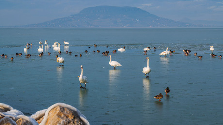 Itt az ideje, hogy felfedezd a Balaton téli arcát!