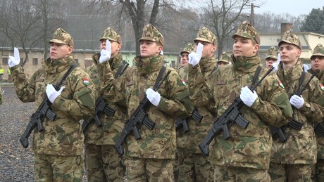 A hazára esküdtek fel