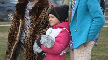 Ha szilveszter, akkor somogysárdi nyúltrapp