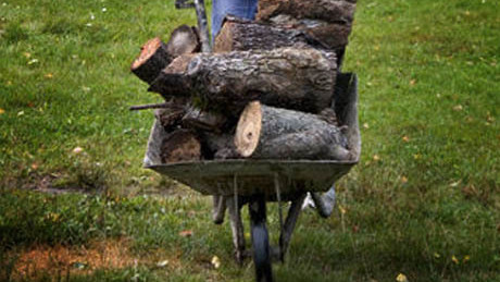 Talicskával lopta a fát egy kaposvári erdőből