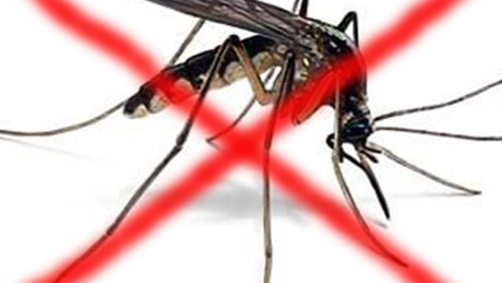 Halál a szúnyogokra