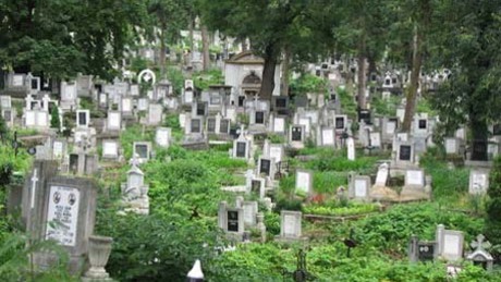 Somogyi segítség a házsongárdi temető magyar sírjainak megmentésére
