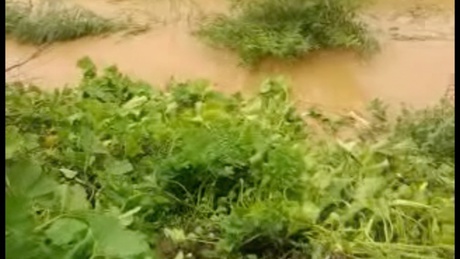 Elmosott települések