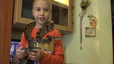 Videóval! Kígyók szorításában érzi jól magát egy 8 éves kaposvári kisfiú