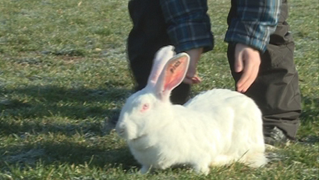 Mancs kapitány felvette a nyúlcipőt - videóval!