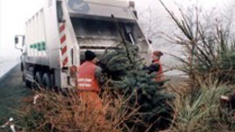 Már szállítják a kidobott karácsonyfákat Kaposváron