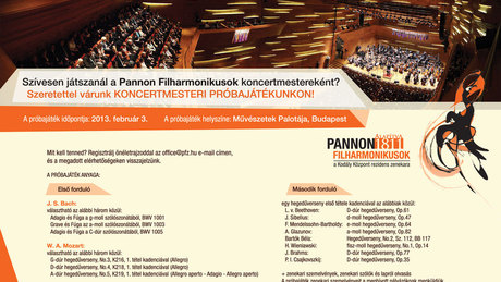 Koncertmestert és tuttista muzsikusokat keresnek a Pannon Filharmonikusok