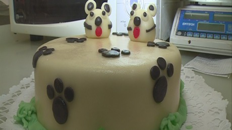 Édes élet: pókertorta a vizsgaasztalon