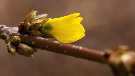 Esővel indul a tavasz, avagy ilyen időnk lesz a hétvégén