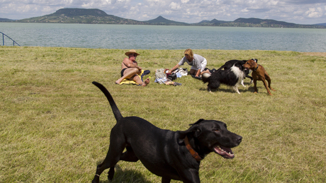 Megnyílt a Balaton első kutyás fürdőhelye