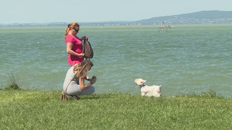 Elégedett ugatástól hangos a Balaton-part