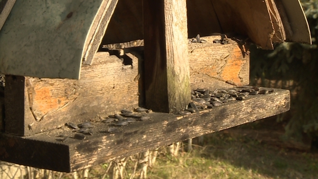 Sok az üres etető, de nem kell aggódni!