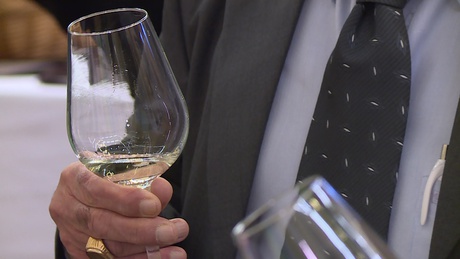 Megkezdődött a 44. Országos Borverseny