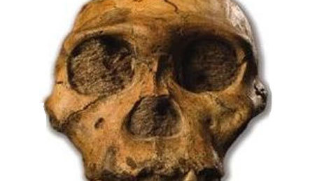 Kétmillió éves majdnem emberi csontvázra bukkantak