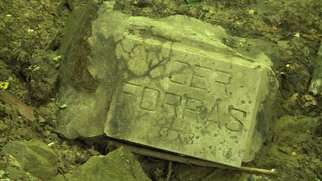 Újabb forrás újul meg