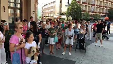 Az állatkínzások ellen demonstráltak Kaposváron