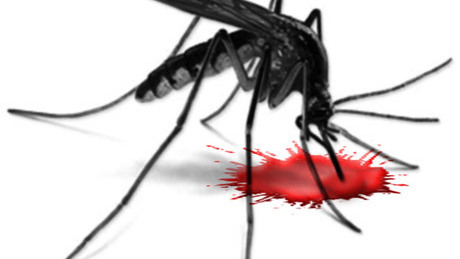 Véresen komoly! Támadnak a szúnyogok