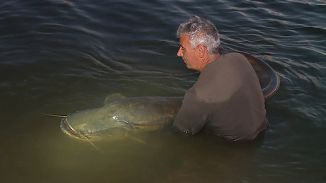 75 kiló, 217 centiméter