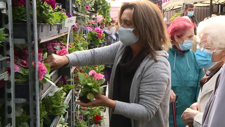 Virágba borult a kaposvári piac