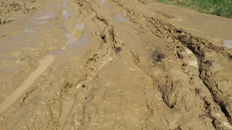 Sárdagonya: ki ragadjon lapátot?