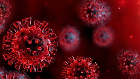 Pozitív lett egy Noszlopys diák koronavírus-tesztje