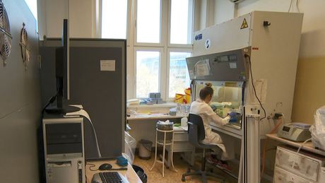 Koronavírus: így zajlik a laborban a munka