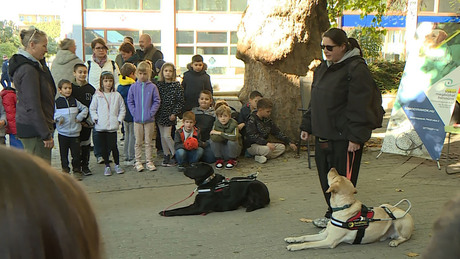 Október a látás hónapja