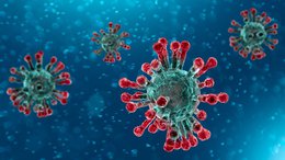 Koronavírus: újabb fertőzöttet találtak Magyarországon