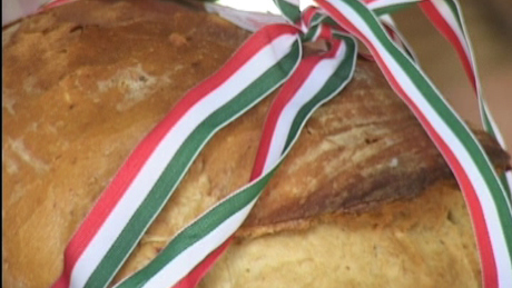 77 tonna búza gyűlt össze a magyarok kenyeréhez