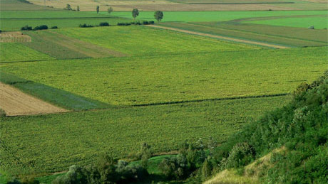 Szünetelő ügyintézés Somogy földhivatalaiban