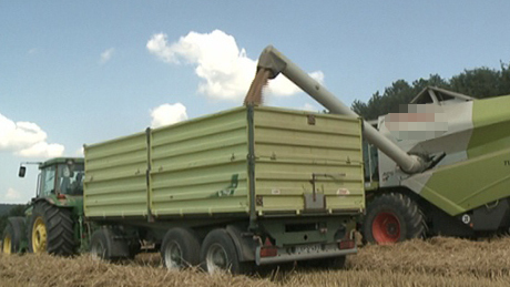 Tetőzik az aratás: egyre több kombájn és traktor van az utakon