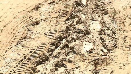 Sártengerben a szerdahelyiek