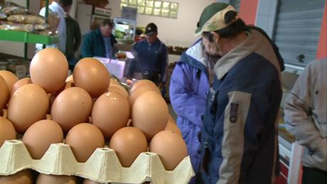 Drasztikusan drágulhat a tojás a következő hónapokban