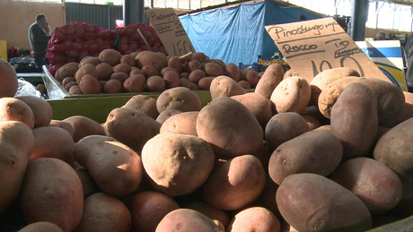 Takarmányburgyona a tányérban?