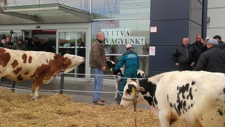 Somogyi gazdák is tüntetnek Budaörsön