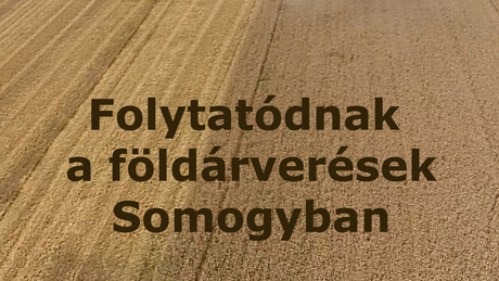 Folytatódnak a földárverések Somogyban