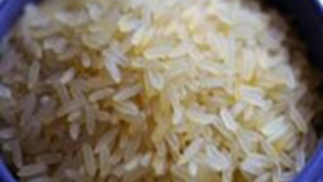 Penészes, mérgező rizs 