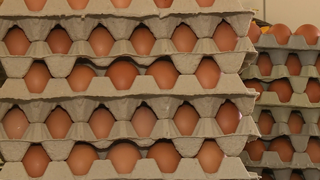 A szokásosnál több tojás fogyott az elmúlt hetekben