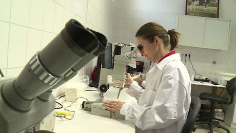 Állattudományi Klímaközpont nyílt a Kaposvári Egyetemen
