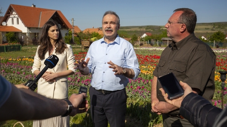 Agrárminiszter: a virágvásárlással sok munkahely megmenthető