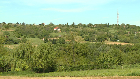 Lendületben a Zselic