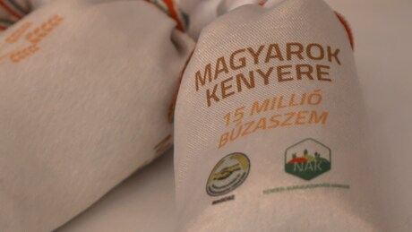 Somogyi búzából is bőven lesz majd magyar kenyér