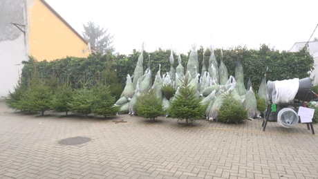 Bőséges a kínálat