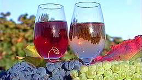 Párizsban és Washingtonban is balatoni borokat kóstoltak