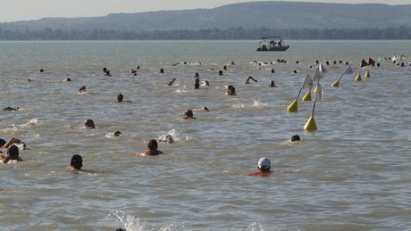 Képeken a Balaton-átúszás