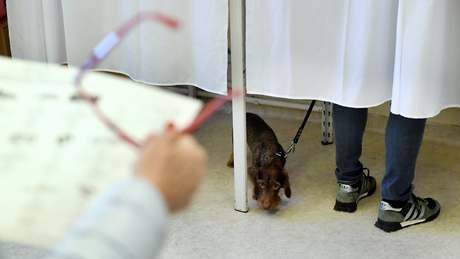 Csak érvényes okmányokkal lehet szavazni