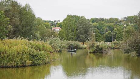 A harcsafelderítés gyakorlatának legfontosabb kérdései?