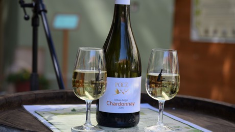 Kokas-hegyi Chardonnay lett Somogy Bora