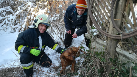 Kútba esett kutyát mentettek a kaposvári lánglovagok