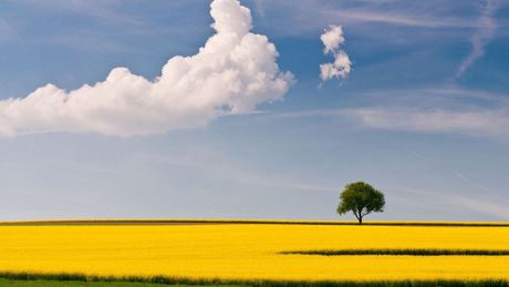 Bekopogtat az ajtón az áprilisi nyár